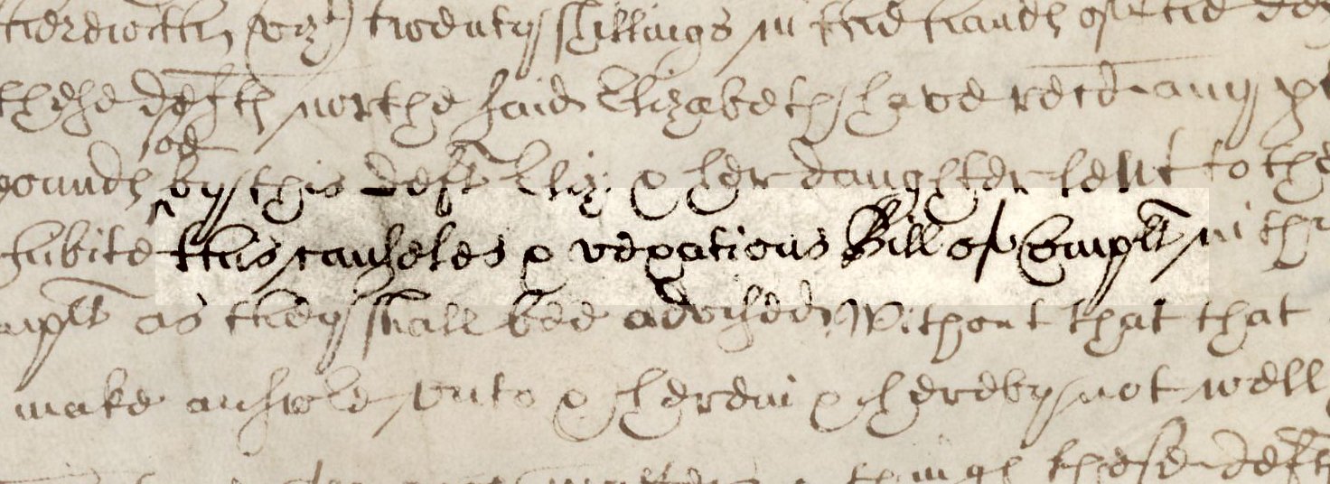 C 8_190_233_004_detail 2