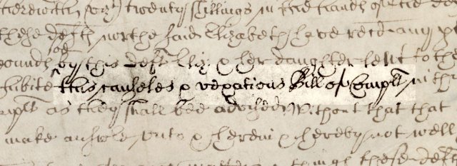 C 8_190_233_004_detail 2